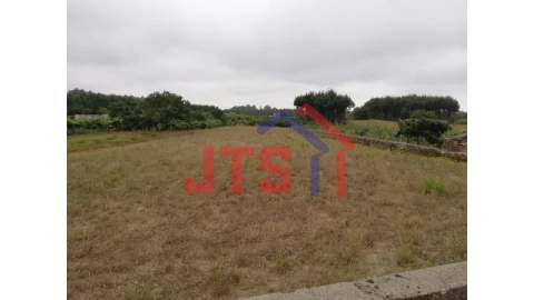 Terreno para Venda em Bustos, Troviscal e Mamarrosa