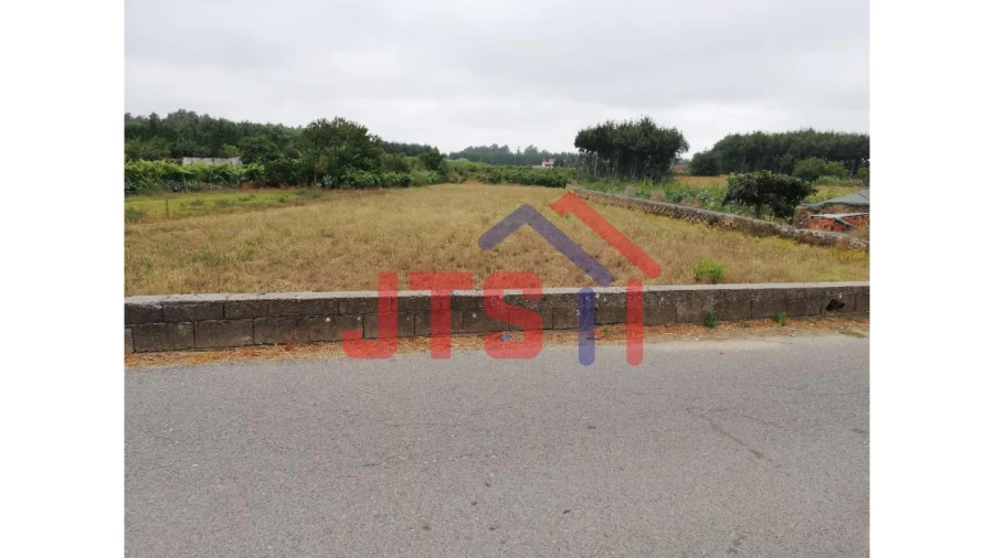 Terreno para Venda em Bustos, Troviscal e Mamarrosa Foto 2
