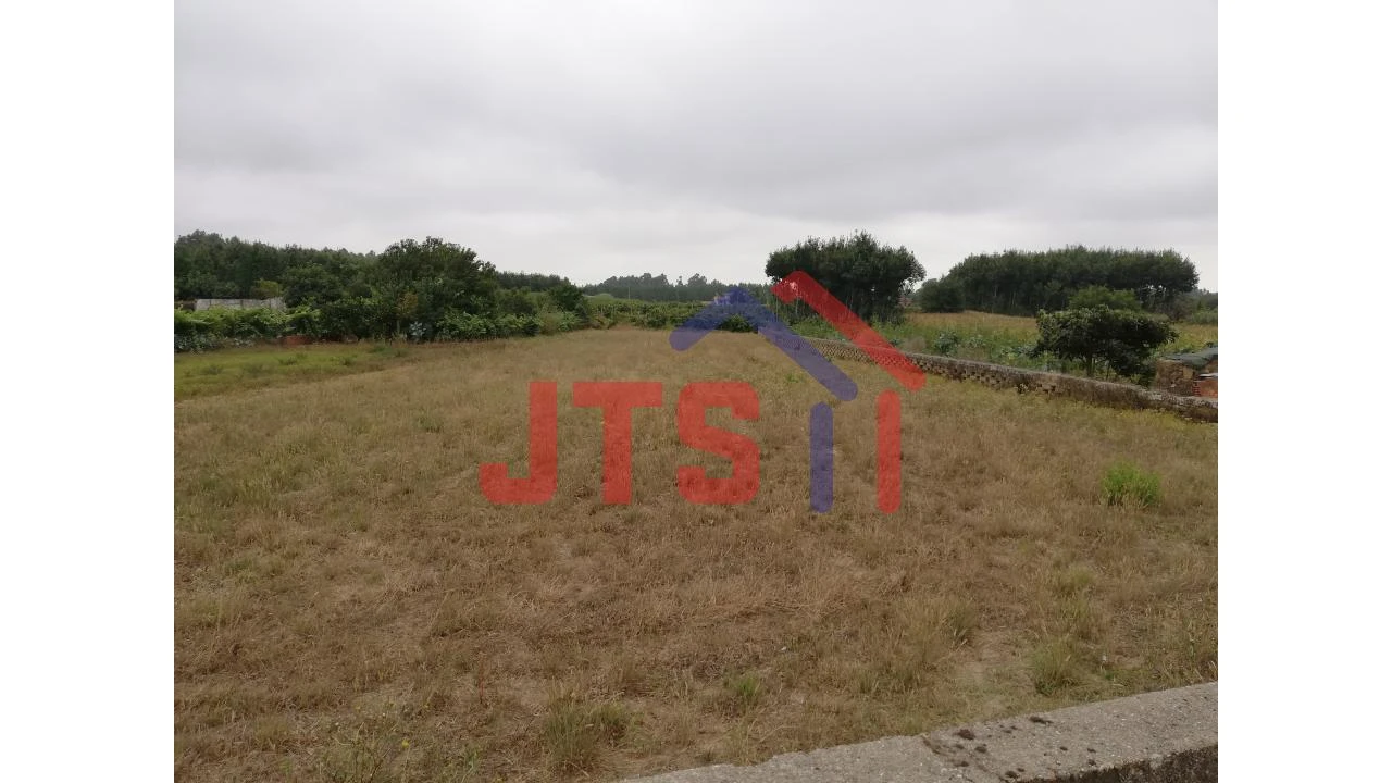 Terreno para Venda em Bustos, Troviscal e Mamarrosa Foto 1