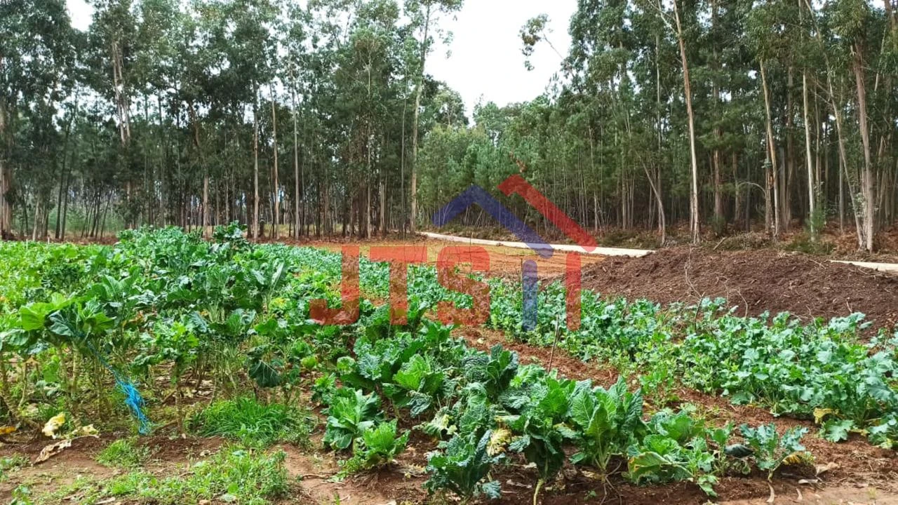 Terreno para Venda em Aguada de Cima Foto 1