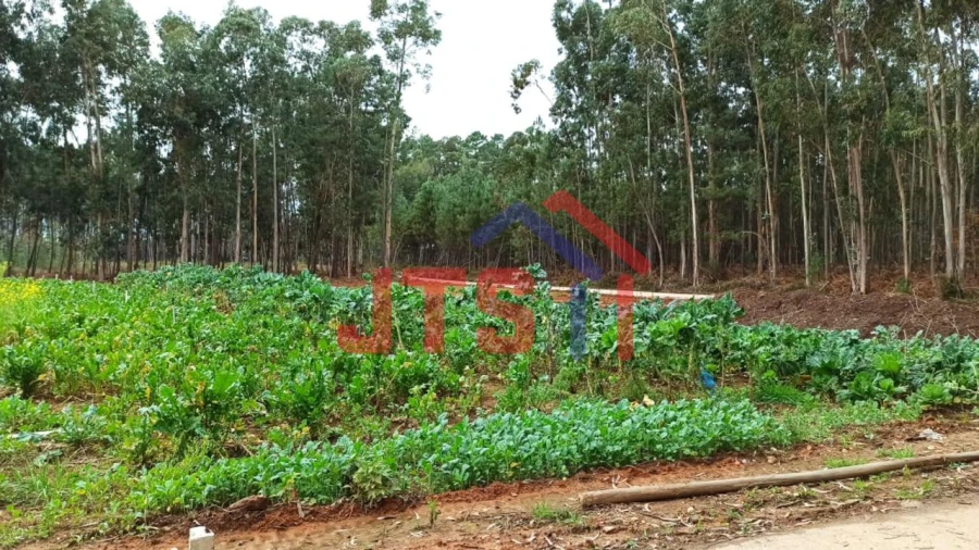 Terreno para Venda em Aguada de Cima Foto 1