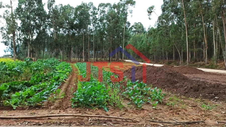 Terreno para Venda em Aguada de Cima Foto 2