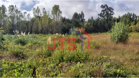 Terreno para Venda em Bustos, Troviscal e Mamarrosa