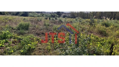 Terreno para Venda em Bustos, Troviscal e Mamarrosa