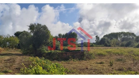 Terreno para Venda em Bustos, Troviscal e Mamarrosa
