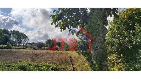 Terreno para Venda em Bustos, Troviscal e Mamarrosa