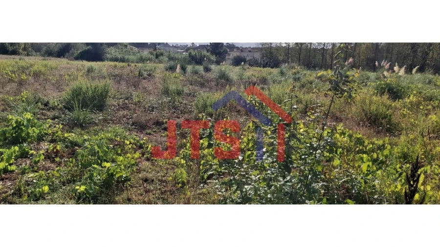 Terreno para Venda em Bustos, Troviscal e Mamarrosa Foto 3