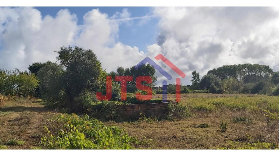 Terreno para Venda em Bustos, Troviscal e Mamarrosa