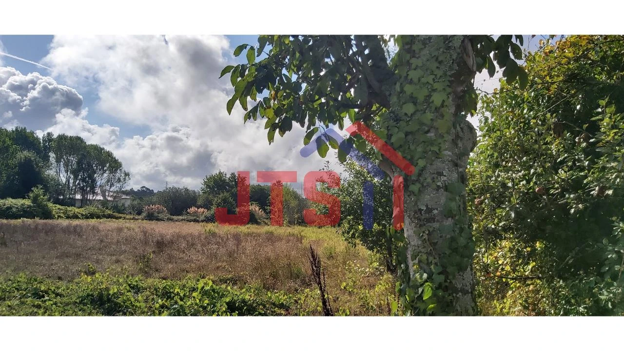 Terreno para Venda em Bustos, Troviscal e Mamarrosa Foto 4