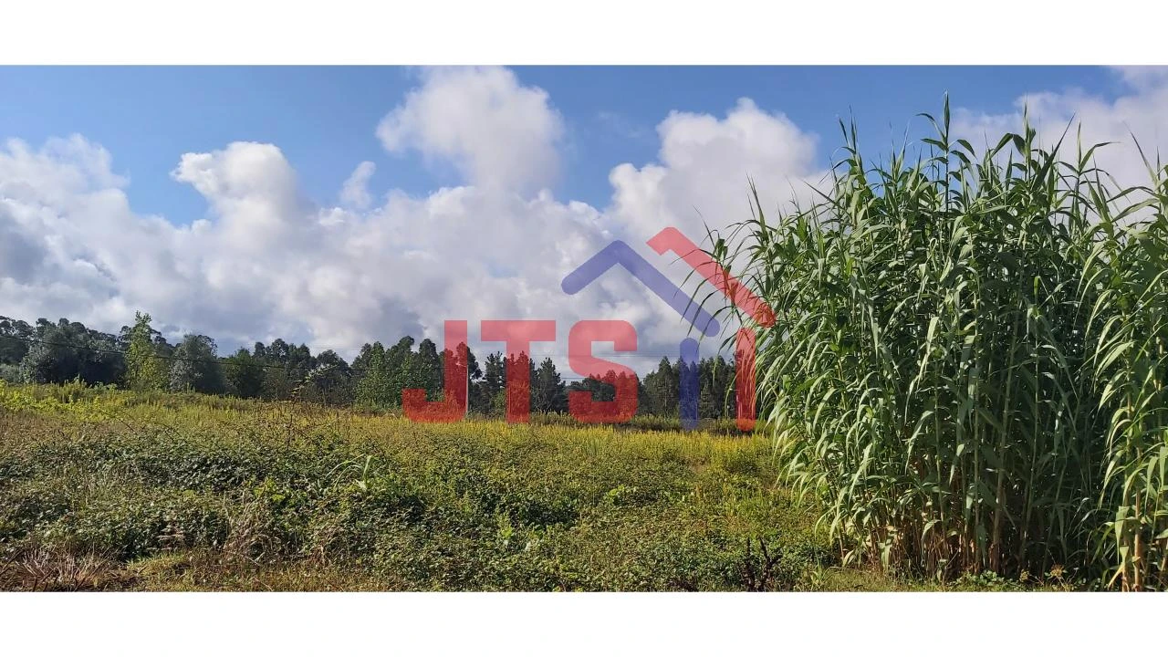 Terreno para Venda em Bustos, Troviscal e Mamarrosa Foto 1