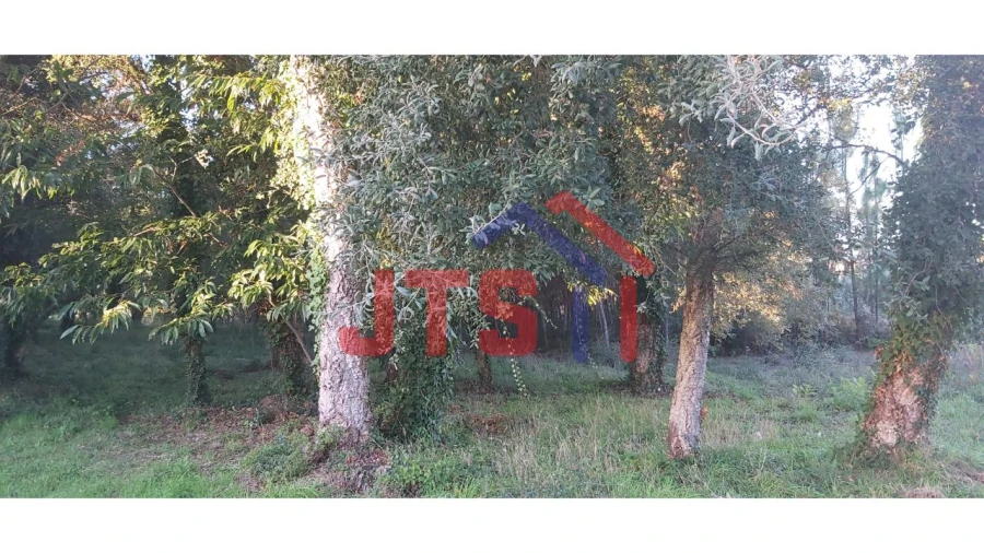 Terreno para Venda em Sangalhos Foto 1