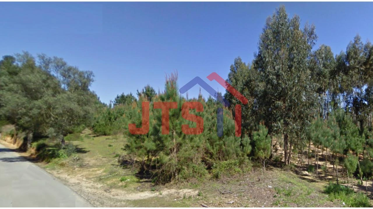 Terreno para Venda em Oliveira do Bairro Foto 1