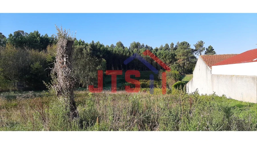 Terreno para Venda em Oliveira do Bairro Foto 1