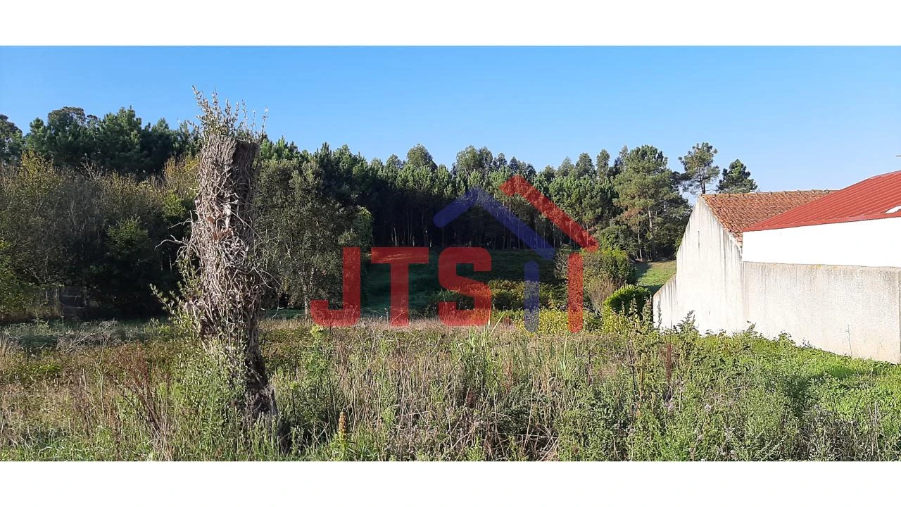 Terreno para Venda em Oliveira do Bairro Foto 1