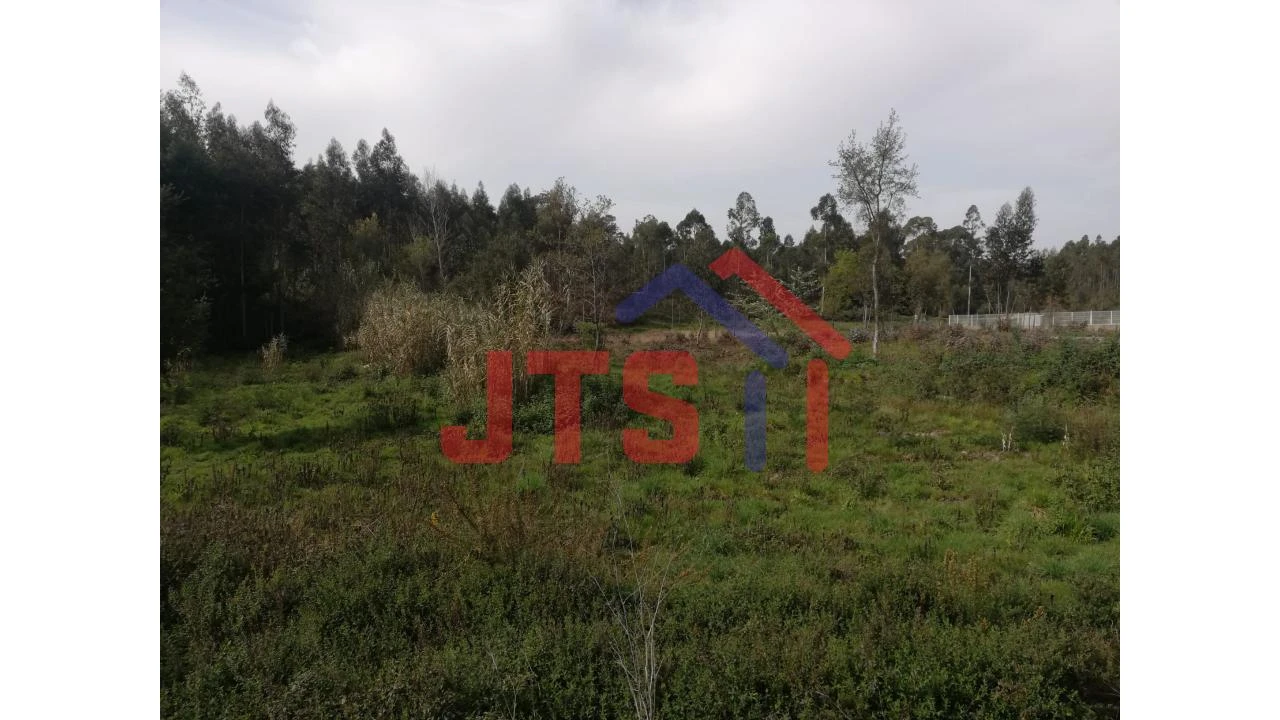 Terreno para Venda em Oiã Foto 1