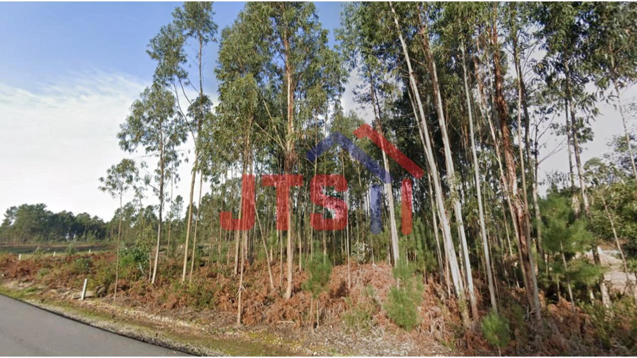 Terreno para Venda em Águeda e Borralha Foto 1