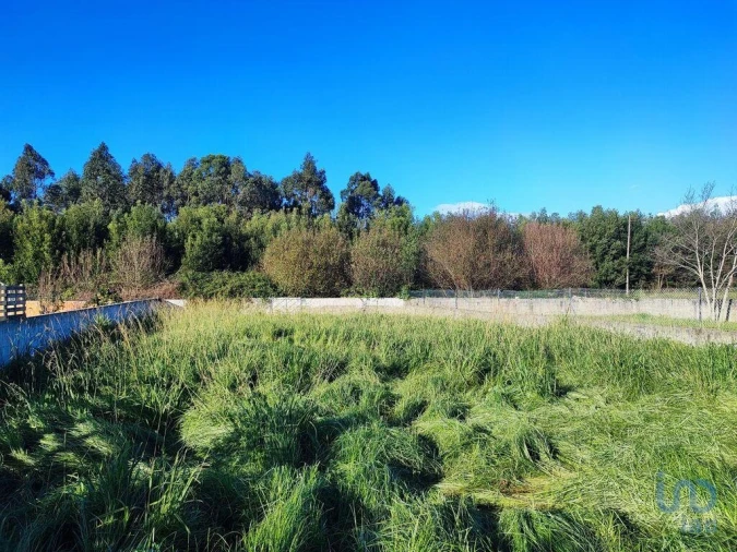 Moradia T4 para Venda em Cortegaça Foto 5