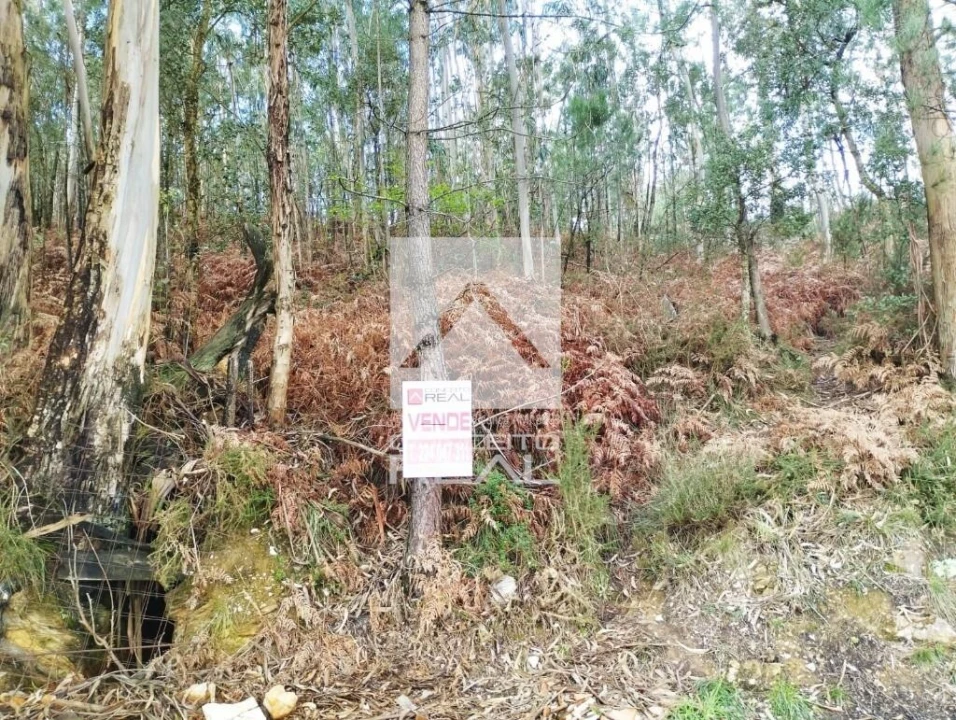 Terreno para Venda em Fânzeres e São Pedro da Cova Foto 1