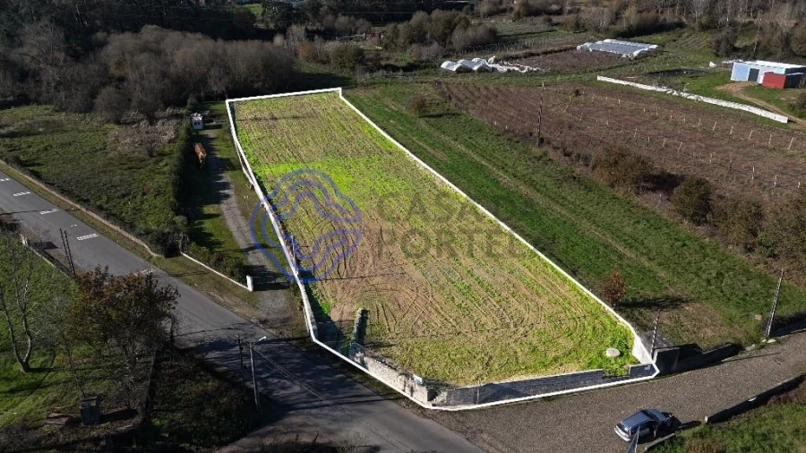 Terreno para Venda em Romariz