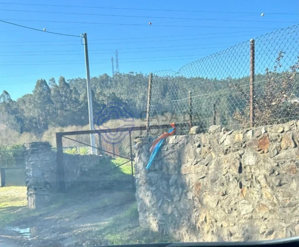 Terreno para Venda em Romariz Foto 2