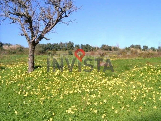Terreno para Venda em Vila Franca de Xira Foto 6