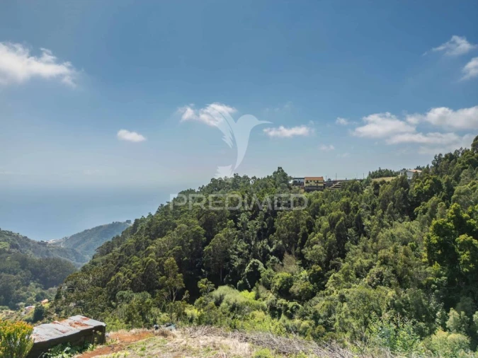 Terreno para Venda em Santo Antonio da Serra Foto 16