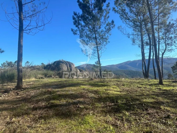 Terreno para Venda em Aboadela, Sanche e Várzea Foto 14