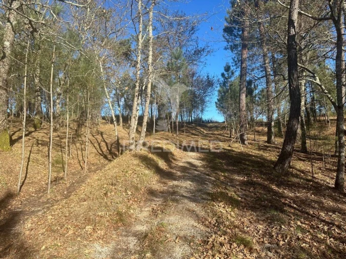 Terreno para Venda em Aboadela, Sanche e Várzea Foto 9