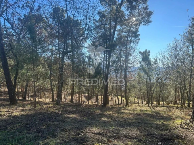 Terreno para Venda em Aboadela, Sanche e Várzea Foto 4