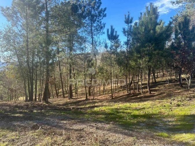 Terreno para Venda em Aboadela, Sanche e Várzea Foto 12