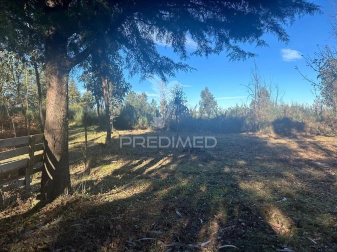 Terreno para Venda em Aboadela, Sanche e Várzea Foto 17