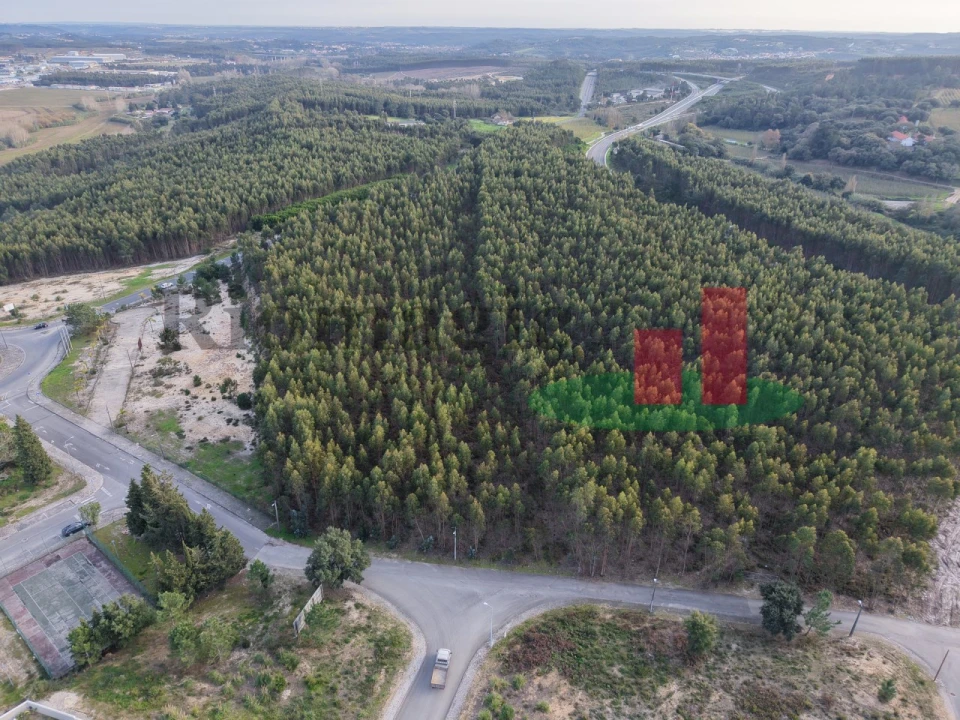 Terreno para Venda em Marmeleira e Assentiz Foto 6