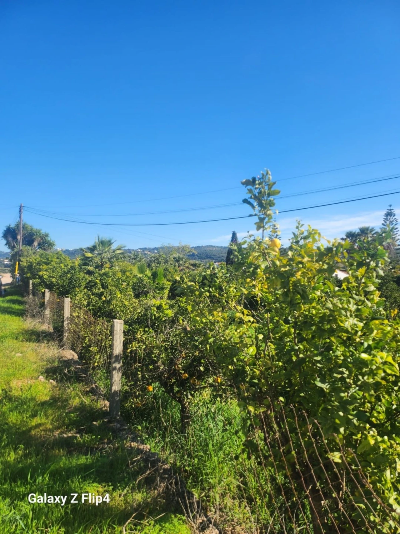 Terreno para Venda em Silves Foto 2