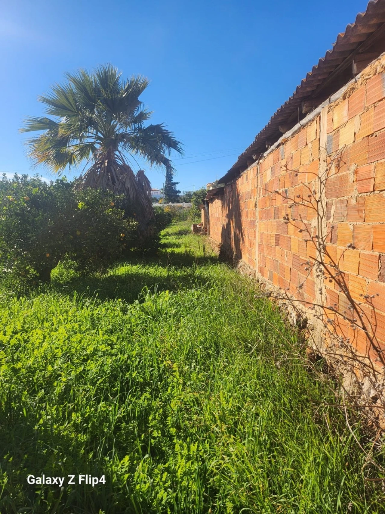Terreno para Venda em Silves Foto 5
