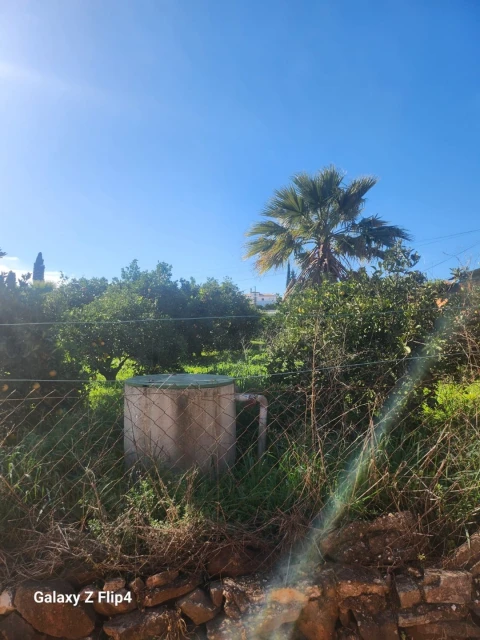 Terreno para Venda em Silves