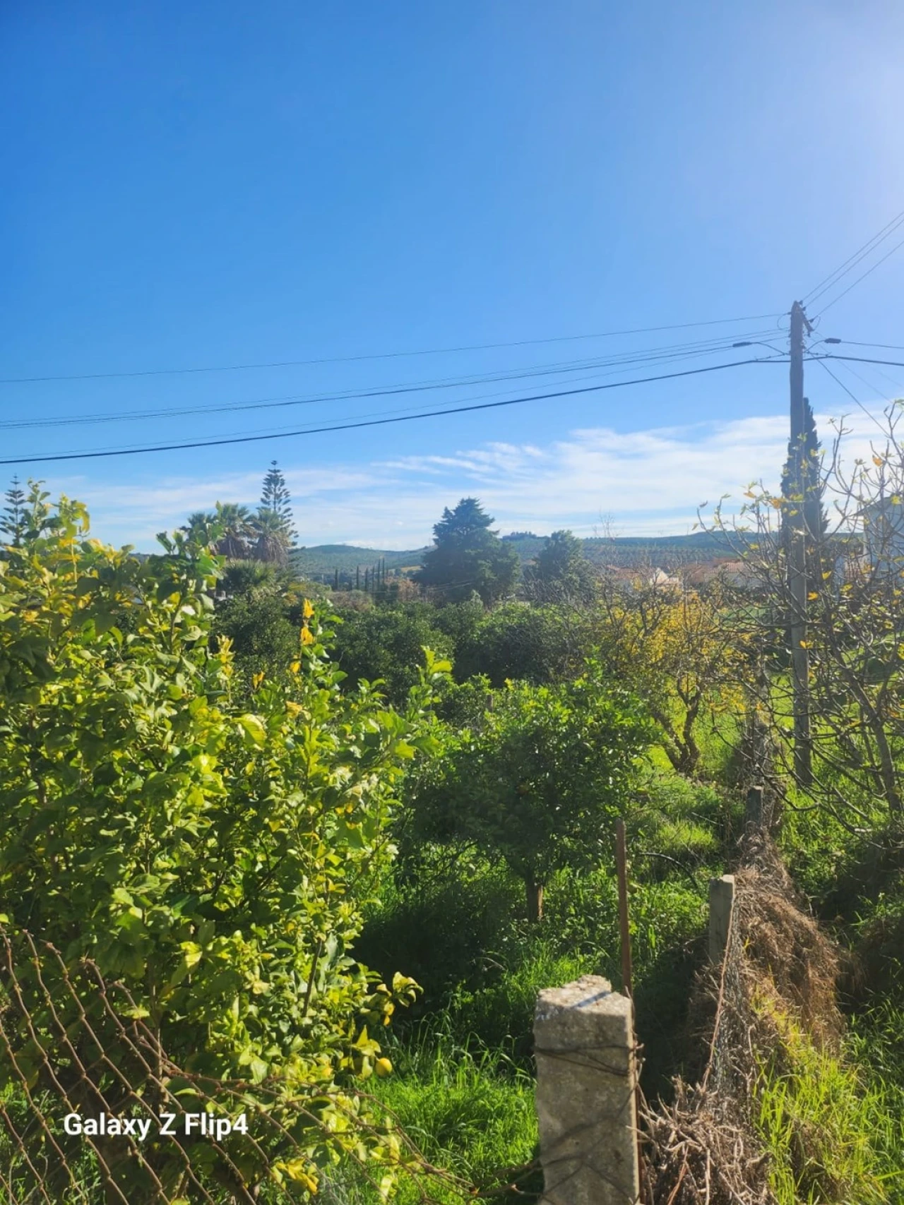 Terreno para Venda em Silves Foto 8