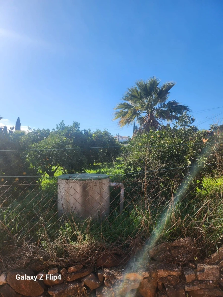Terreno para Venda em Silves Foto 4