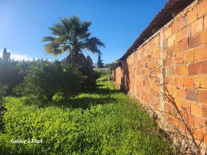 Terreno para Venda em Silves Foto 6