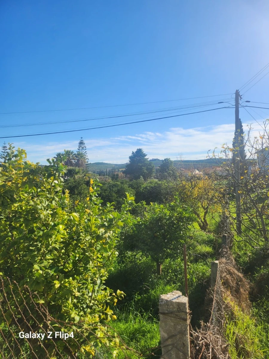 Terreno para Venda em Silves Foto 8