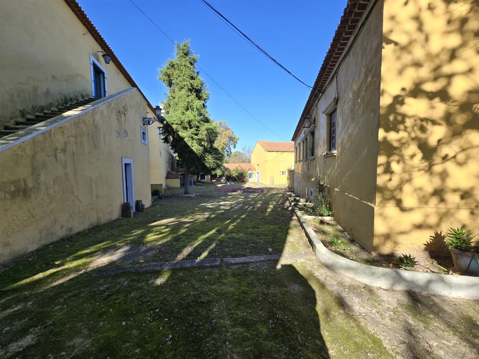 Quinta T0 para Venda em Valado dos Frades Foto 77