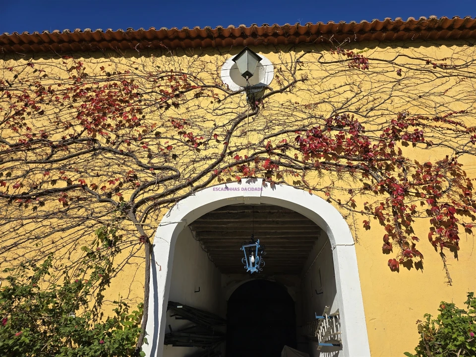 Quinta T0 para Venda em Valado dos Frades Foto 17