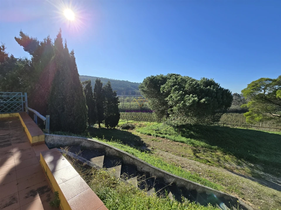 Quinta T0 para Venda em Valado dos Frades Foto 72