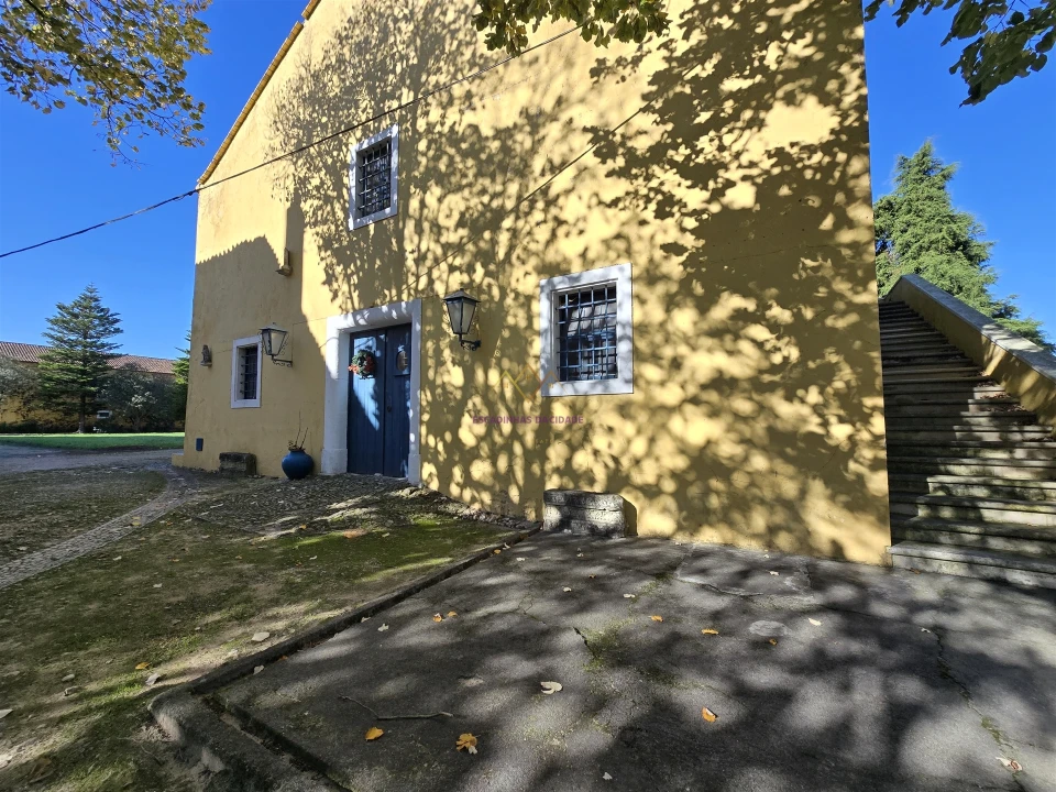 Quinta T0 para Venda em Valado dos Frades Foto 75