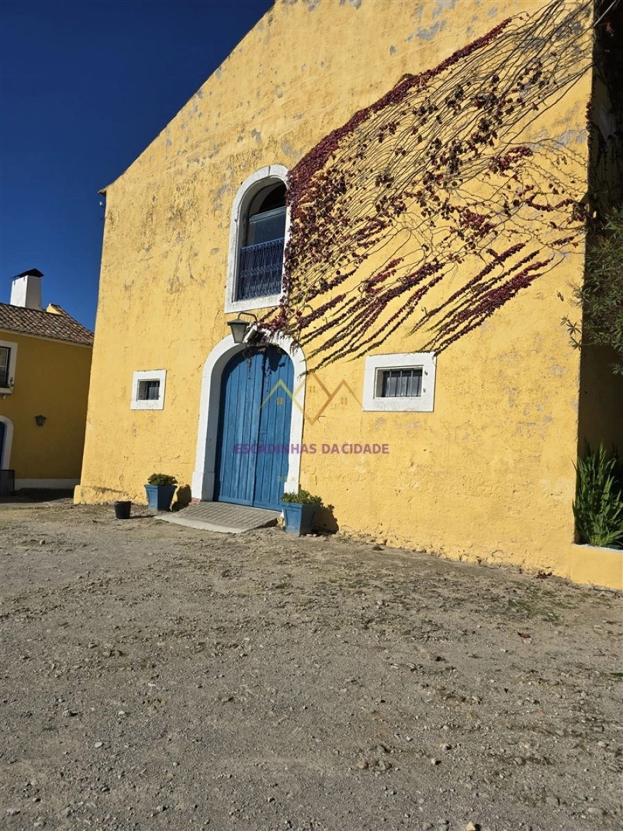 Quinta T0 para Venda em Valado dos Frades Foto 59