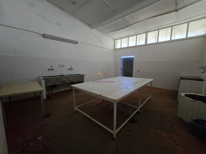 Quinta T0 para Venda em Valado dos Frades Foto 19