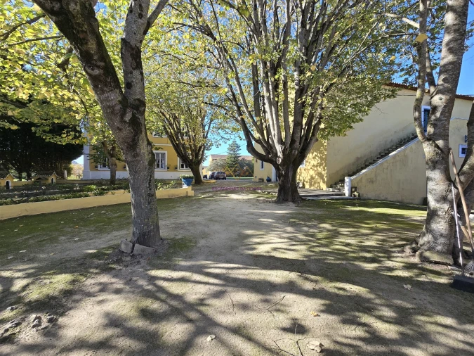 Quinta T0 para Venda em Valado dos Frades Foto 78