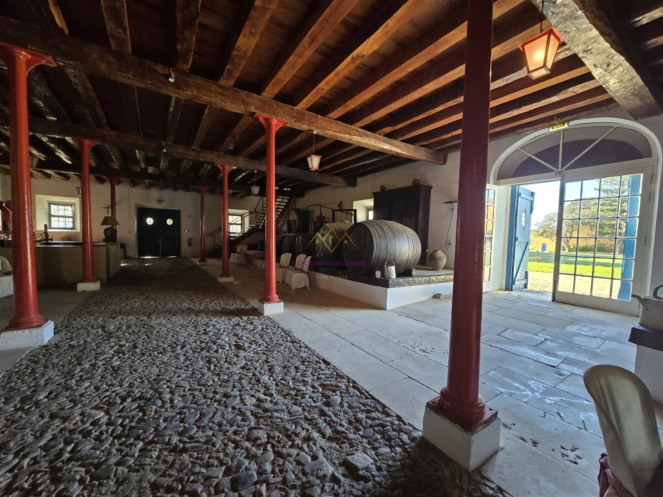 Quinta T0 para Venda em Valado dos Frades Foto 11