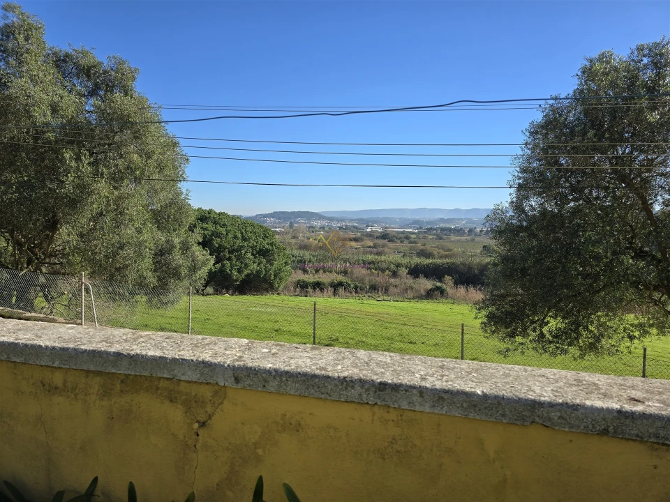 Quinta T0 para Venda em Valado dos Frades Foto 43