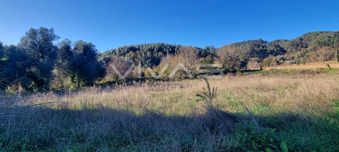 Terreno para Venda em Dossãos Foto 2