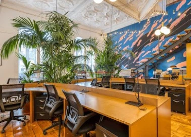 Escritório para Arrendamento em Cedofeita, Santo Ildefonso, Sé, Miragaia, São Nicolau e Vitória